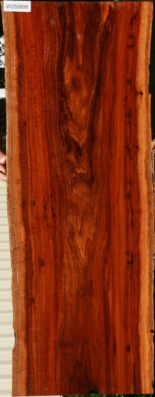 Patagonian Rosewood Live Edge Lumber