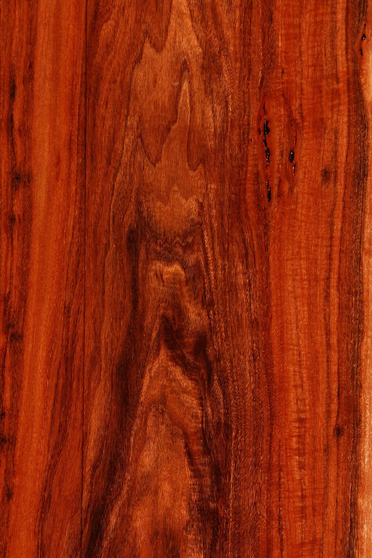 Patagonian Rosewood Live Edge Lumber