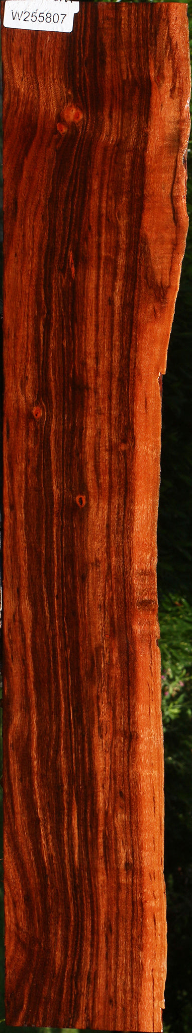Extra Fancy Patagonian Rosewood Live Edge Lumber