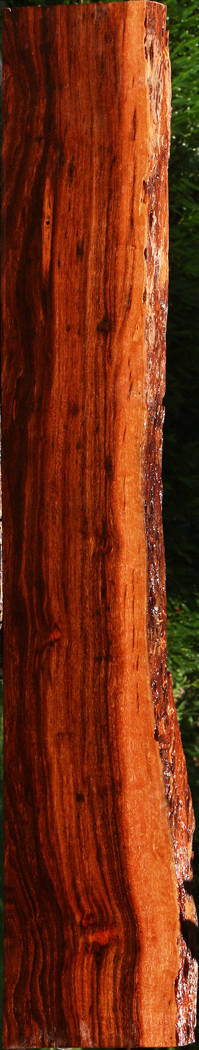 Extra Fancy Patagonian Rosewood Live Edge Lumber