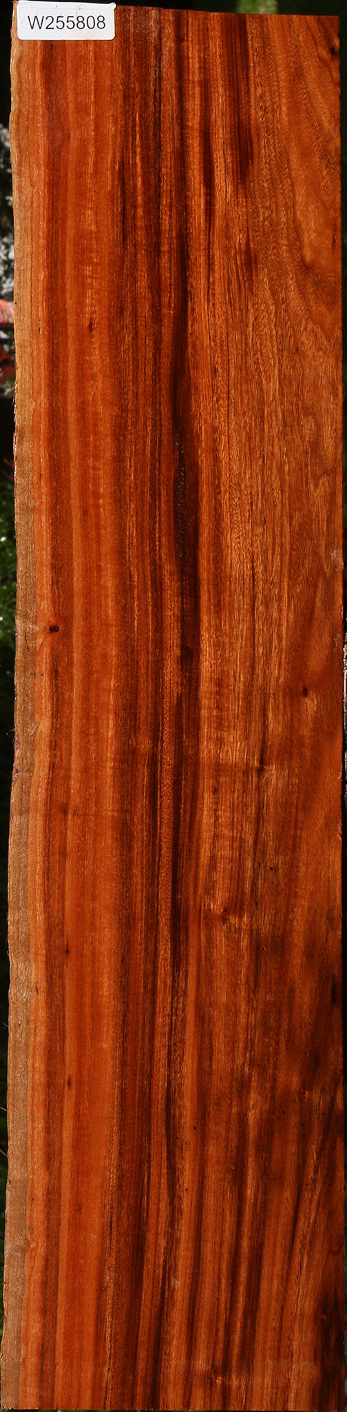 Figured Patagonian Rosewood Live Edge Lumber