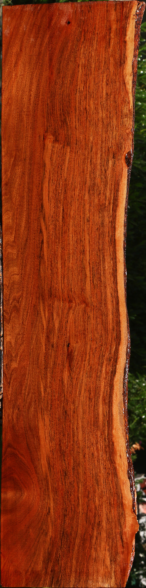 Patagonian Rosewood Live Edge Lumber