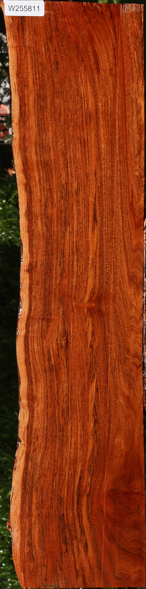 Patagonian Rosewood Live Edge Lumber