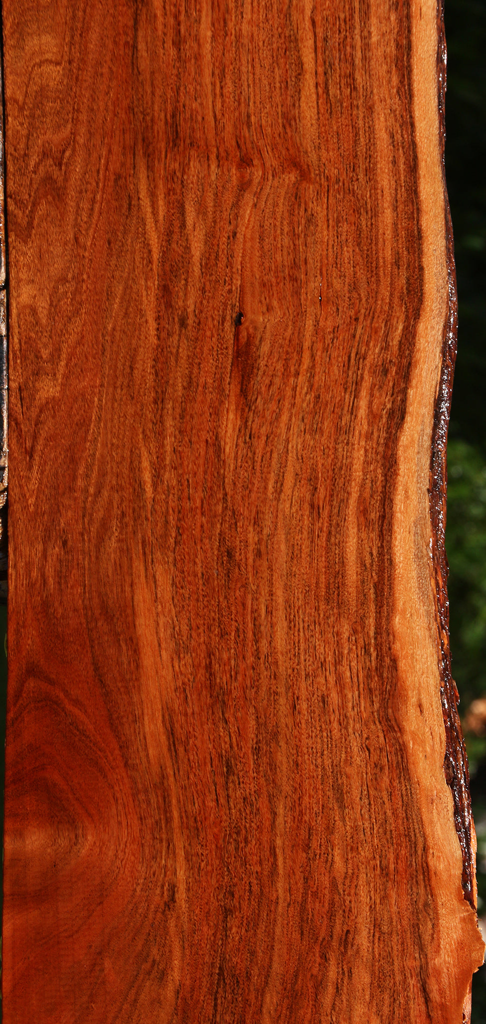 Patagonian Rosewood Live Edge Lumber