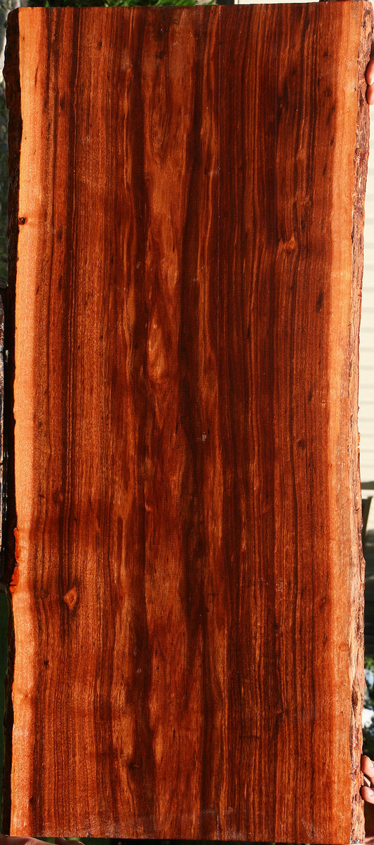 Extra Fancy Patagonian Rosewood Live Edge Lumber