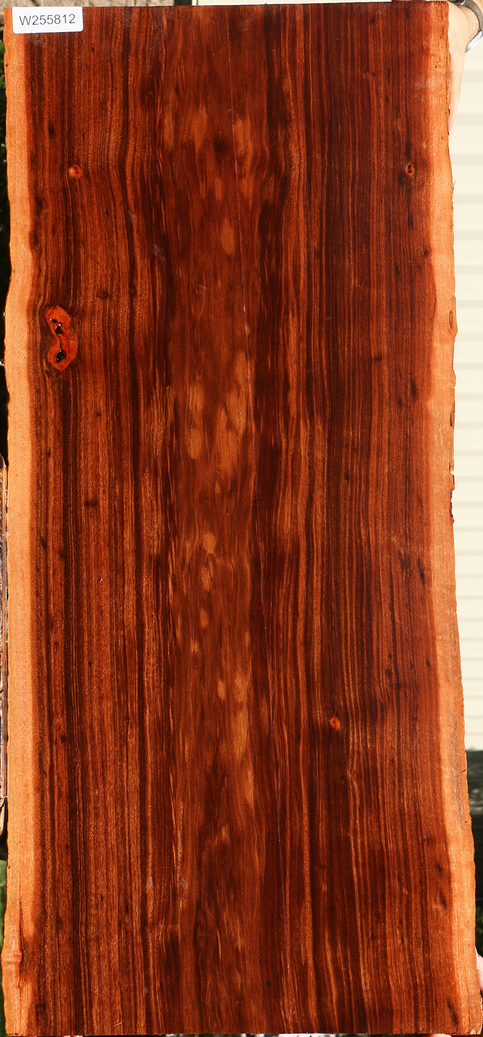 Extra Fancy Patagonian Rosewood Live Edge Lumber