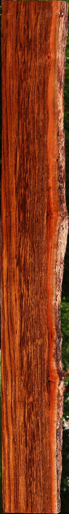 Figured Patagonian Rosewood Live Edge Lumber