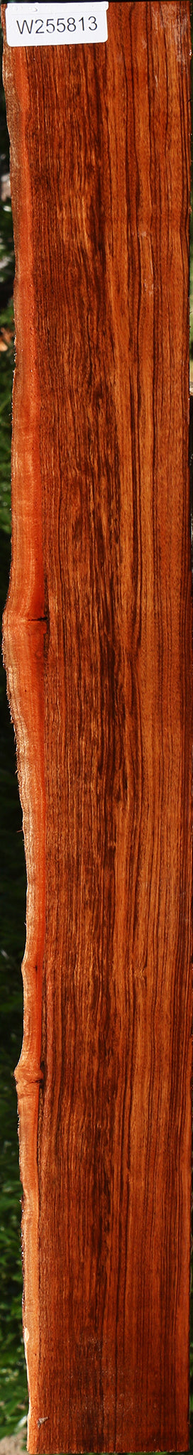 Figured Patagonian Rosewood Live Edge Lumber