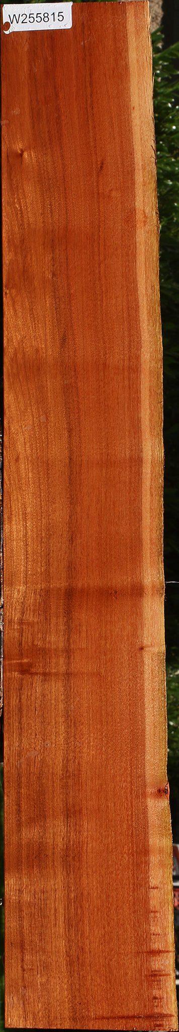 Patagonian Rosewood Live Edge Lumber