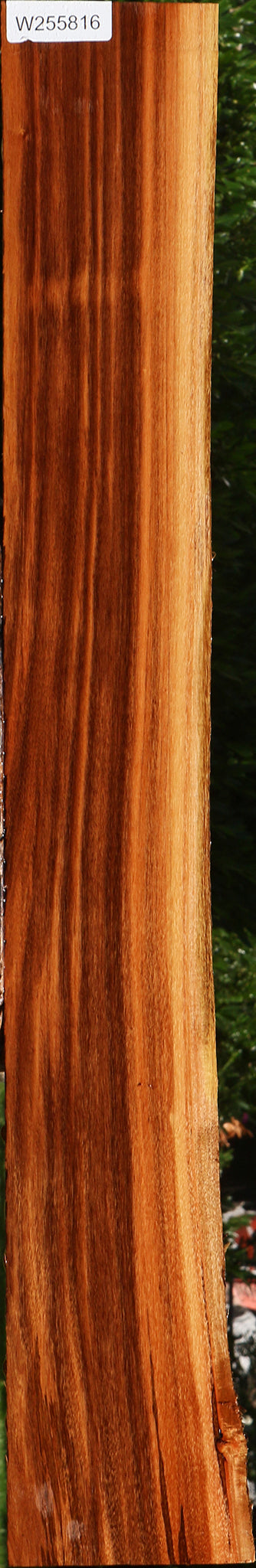 Patagonian Rosewood Live Edge Lumber