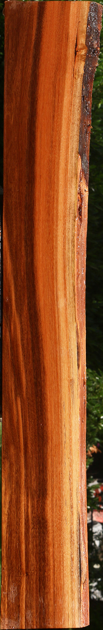 Patagonian Rosewood Live Edge Lumber