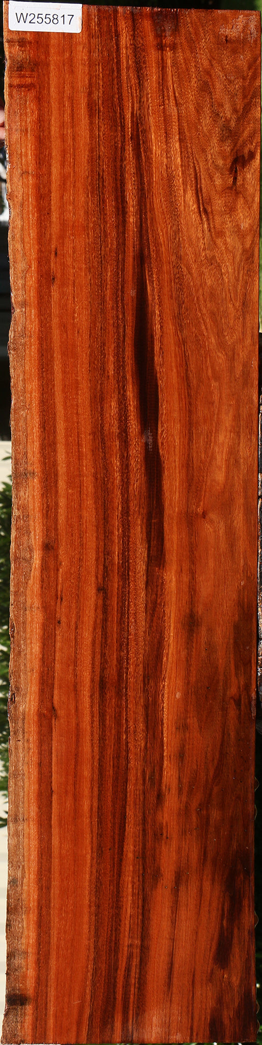 Extra Fancy Patagonian Rosewood Live Edge Lumber
