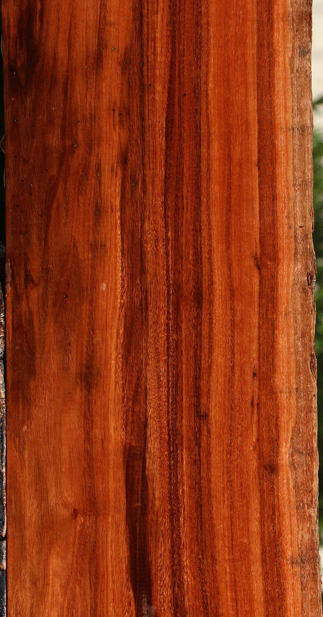 Extra Fancy Patagonian Rosewood Live Edge Lumber
