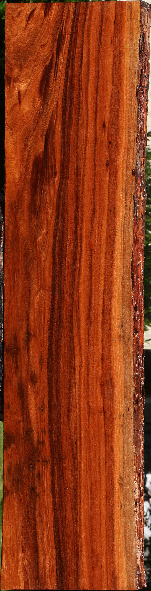 Extra Fancy Patagonian Rosewood Live Edge Lumber