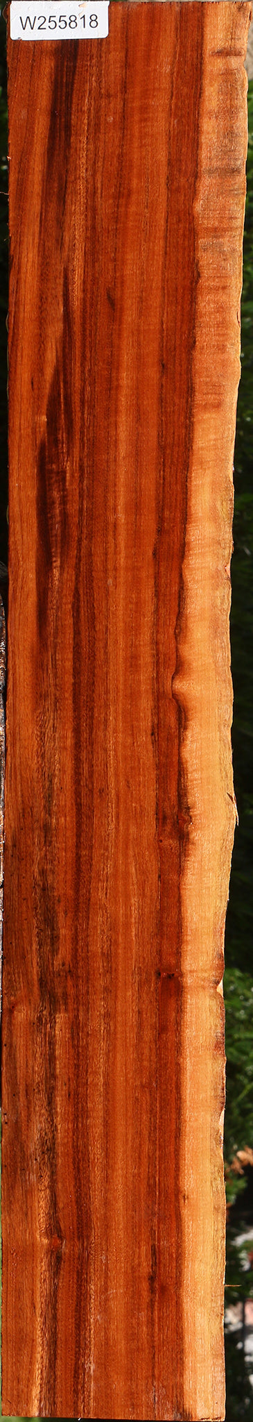 Figured Patagonian Rosewood Live Edge Lumber