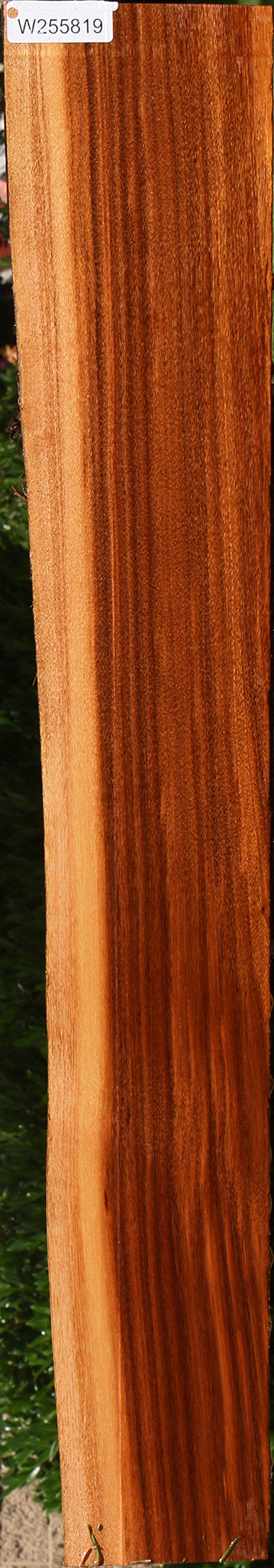 Patagonian Rosewood Live Edge Lumber