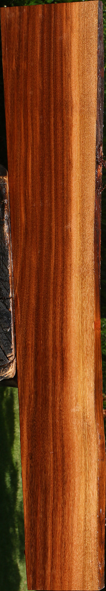 Patagonian Rosewood Live Edge Lumber