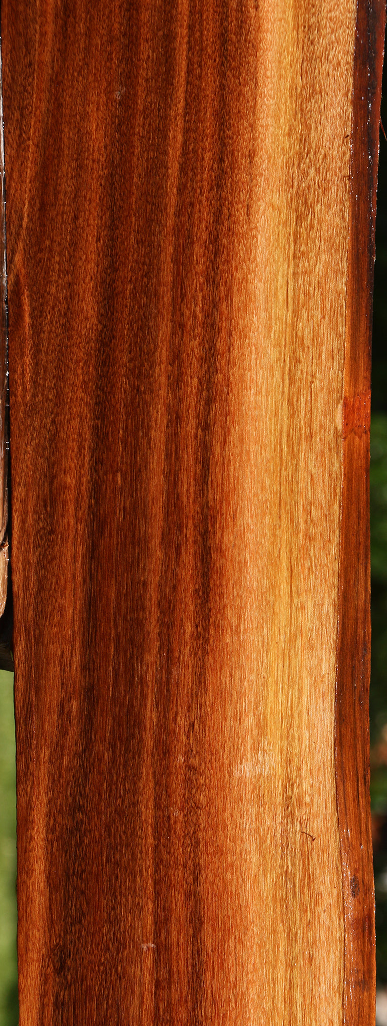 Patagonian Rosewood Live Edge Lumber