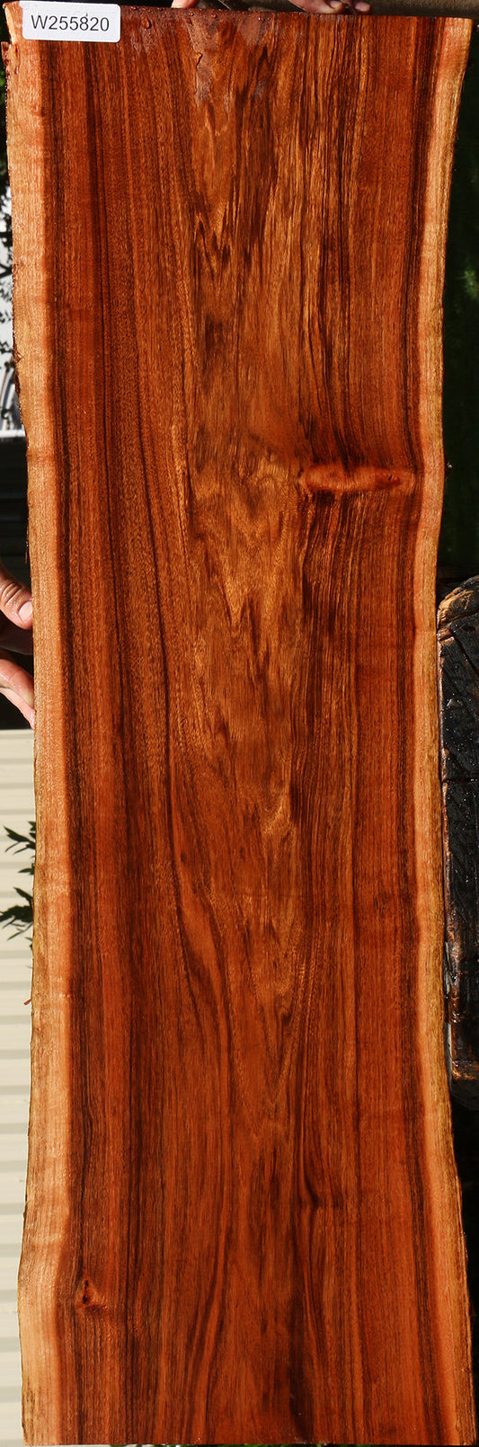 Figured Patagonian Rosewood Live Edge Lumber
