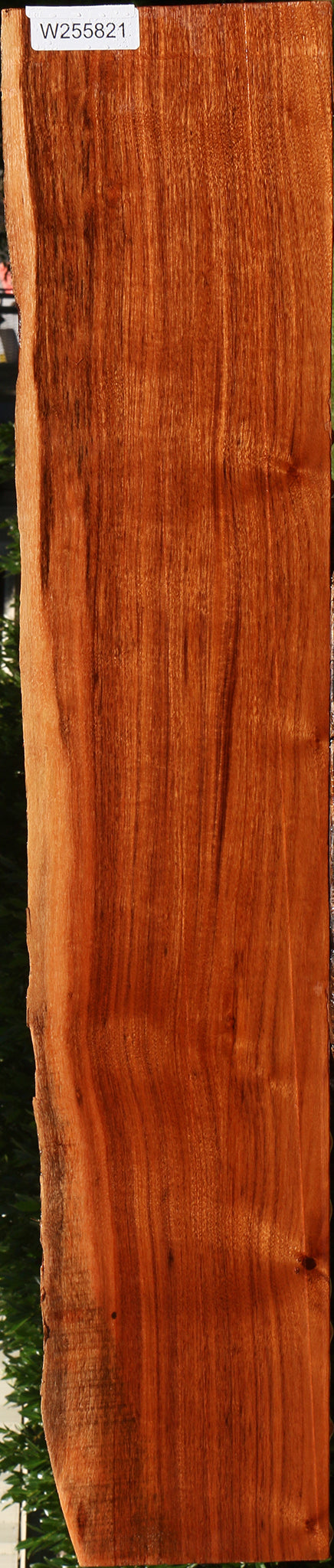 Figured Patagonian Rosewood Live Edge Lumber