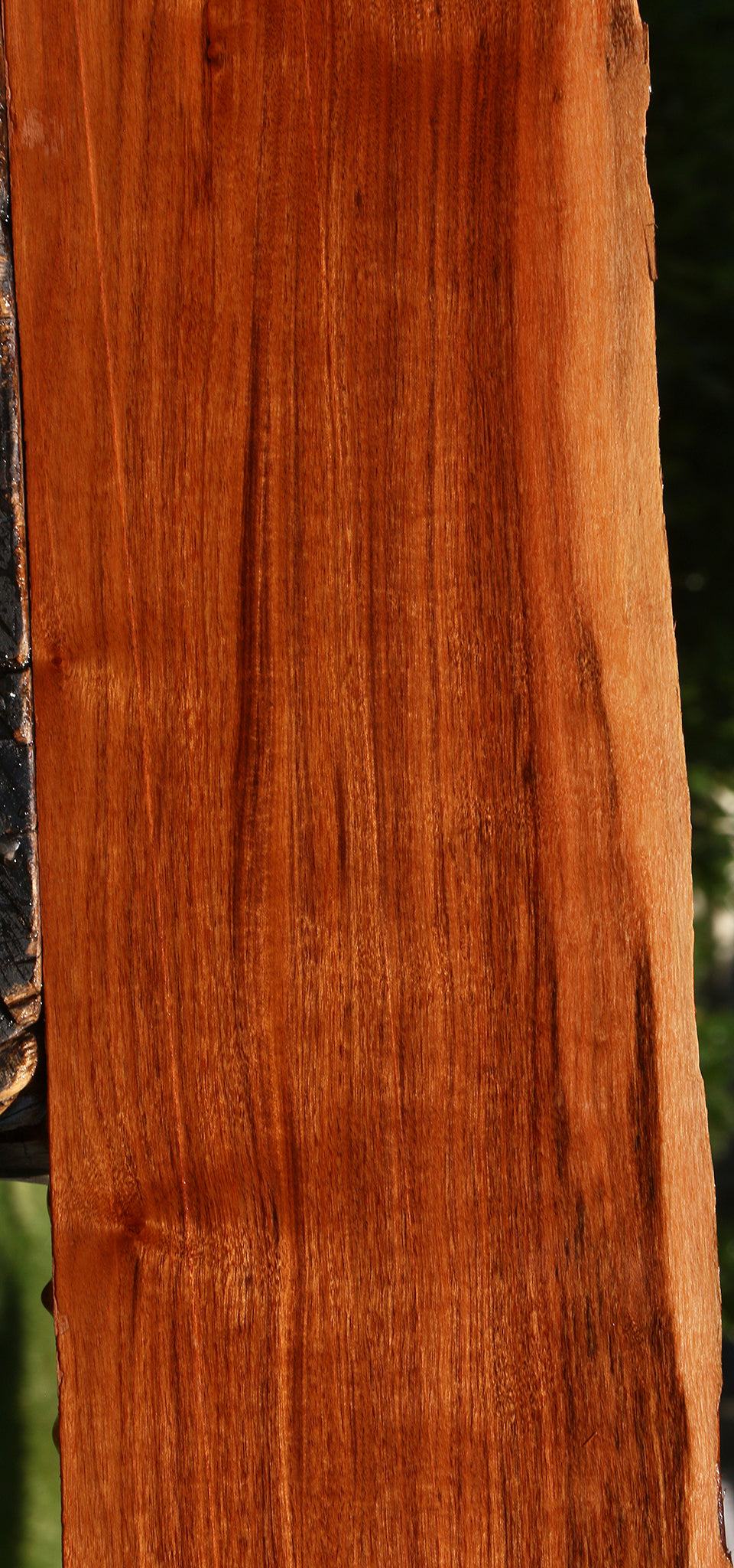 Figured Patagonian Rosewood Live Edge Lumber