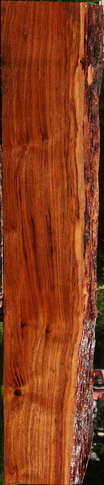 Figured Patagonian Rosewood Live Edge Lumber
