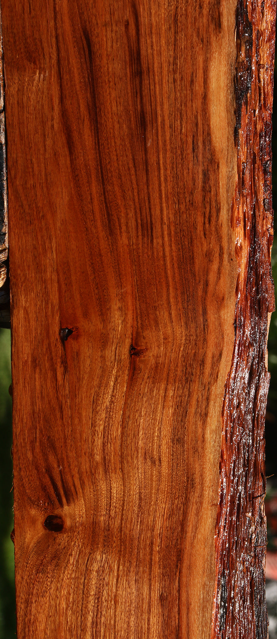 Figured Patagonian Rosewood Live Edge Lumber