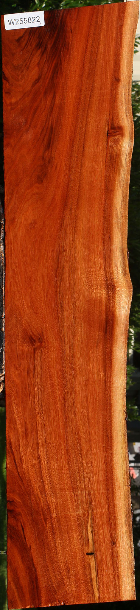 Patagonian Rosewood Live Edge Lumber