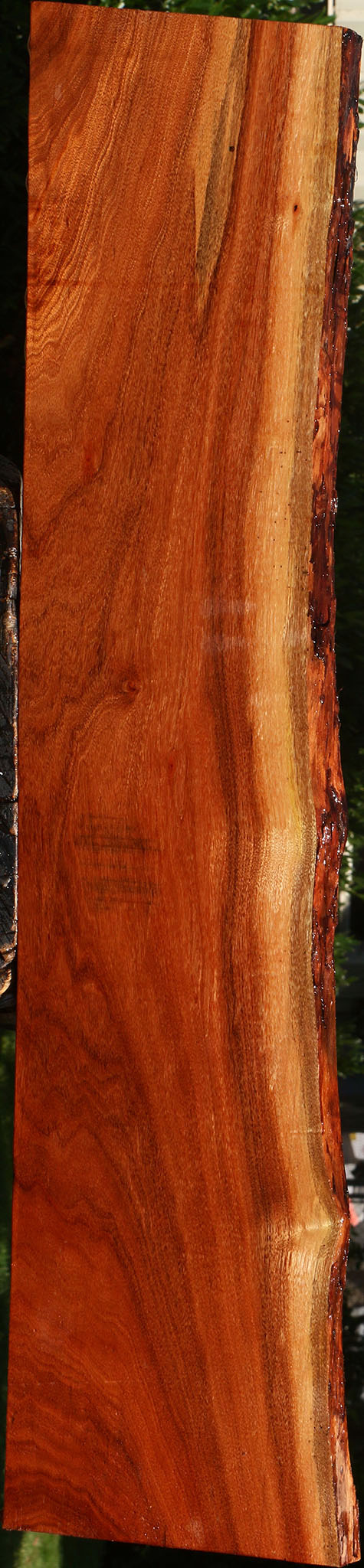 Patagonian Rosewood Live Edge Lumber