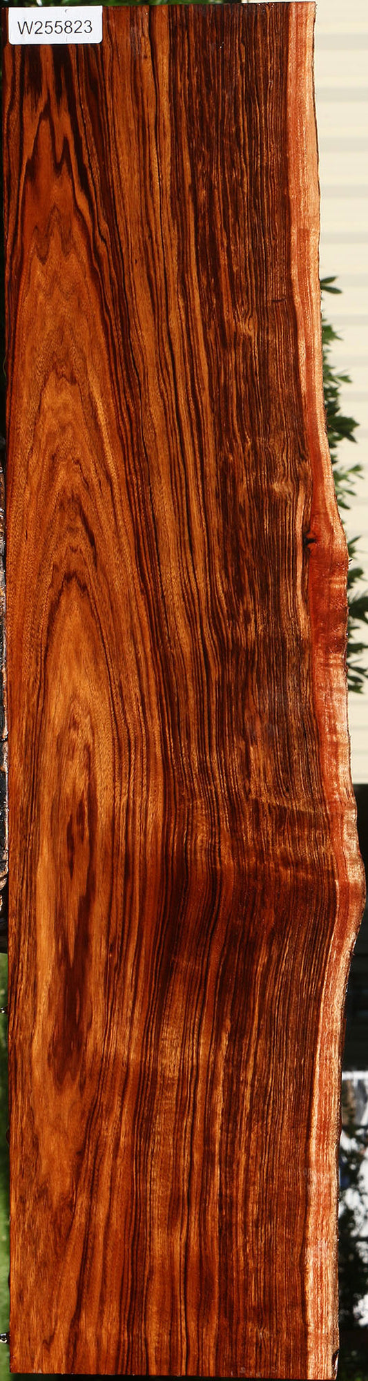 Extra Fancy Patagonian Rosewood Live Edge Lumber
