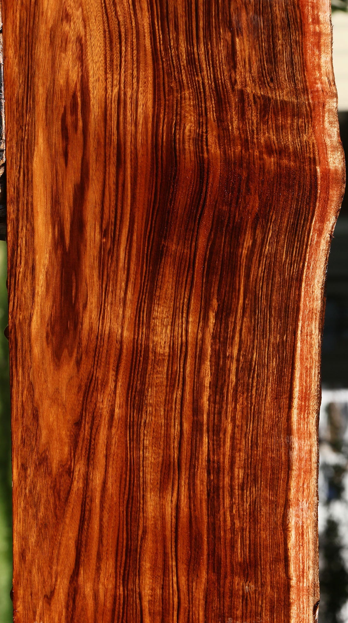 Extra Fancy Patagonian Rosewood Live Edge Lumber