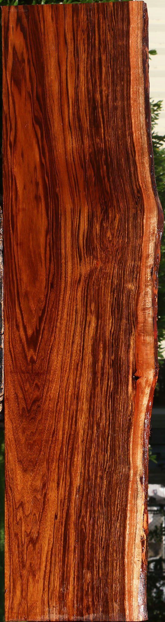 Extra Fancy Patagonian Rosewood Live Edge Lumber
