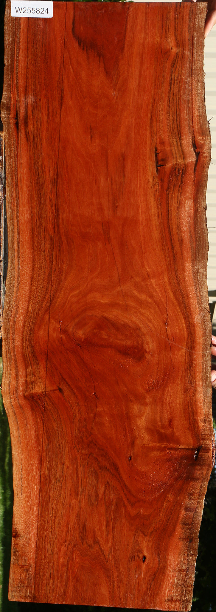 Figured Patagonian Rosewood Live Edge Lumber