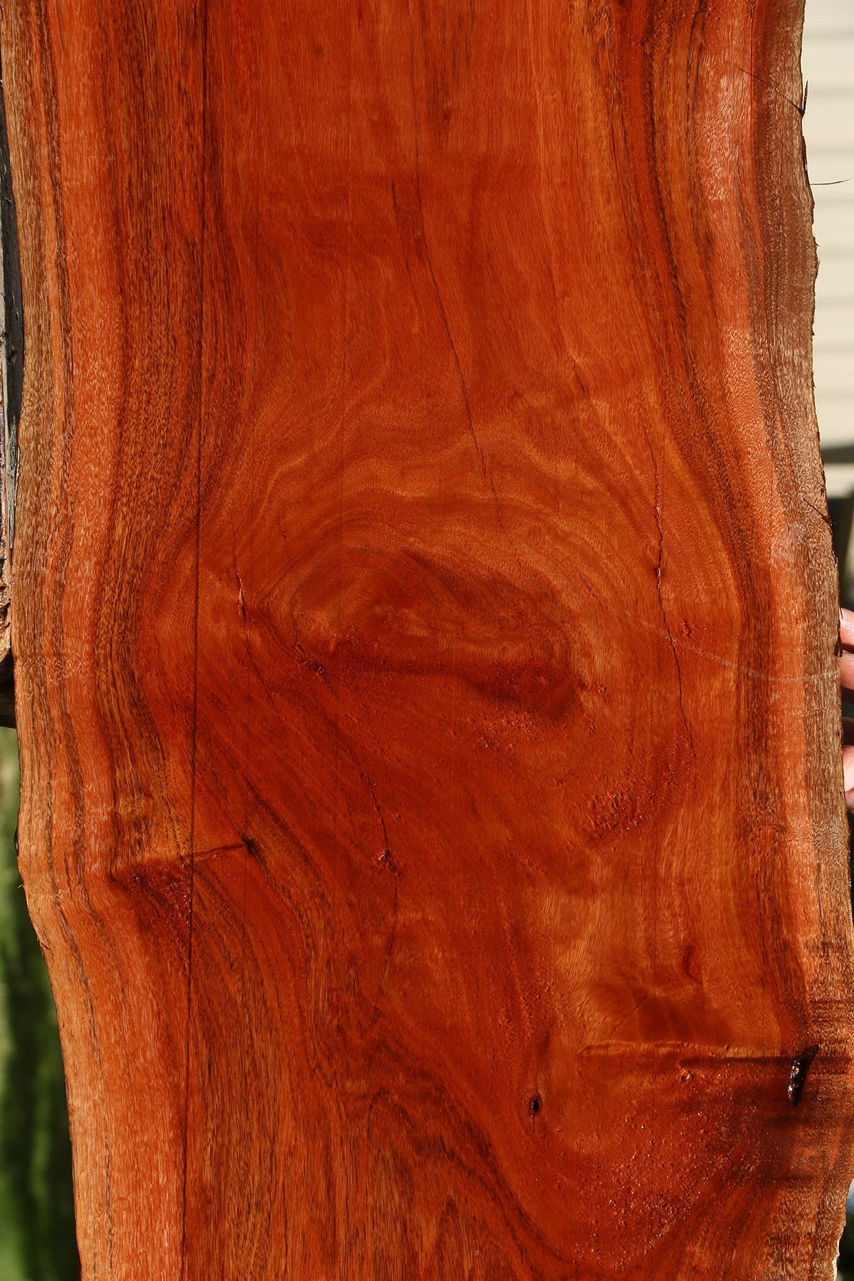 Figured Patagonian Rosewood Live Edge Lumber