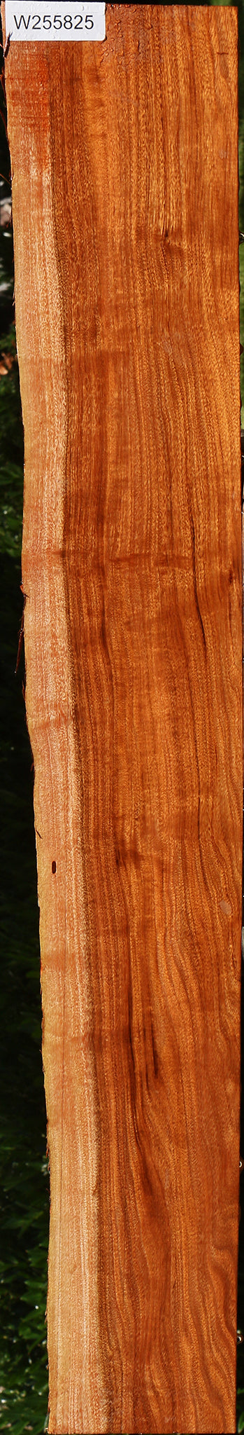 Figured Patagonian Rosewood Live Edge Lumber
