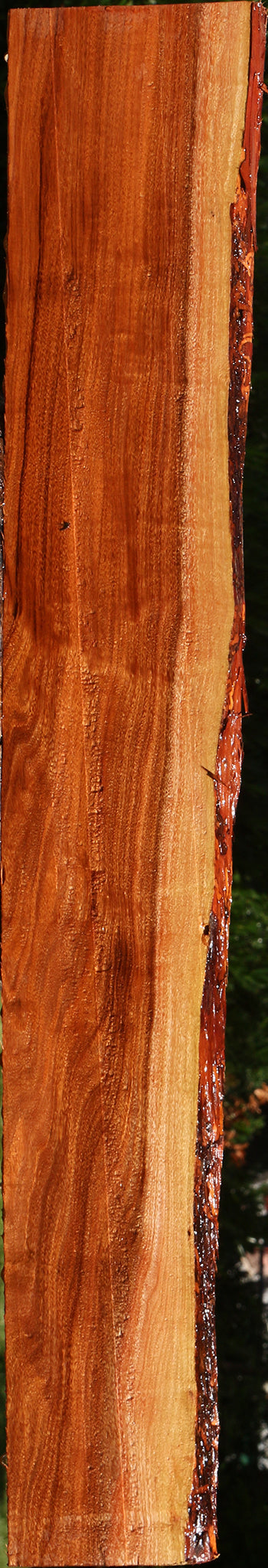 Figured Patagonian Rosewood Live Edge Lumber