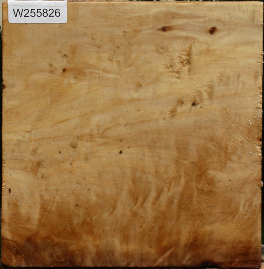 Figured Black Cottonwood Bowl Blank