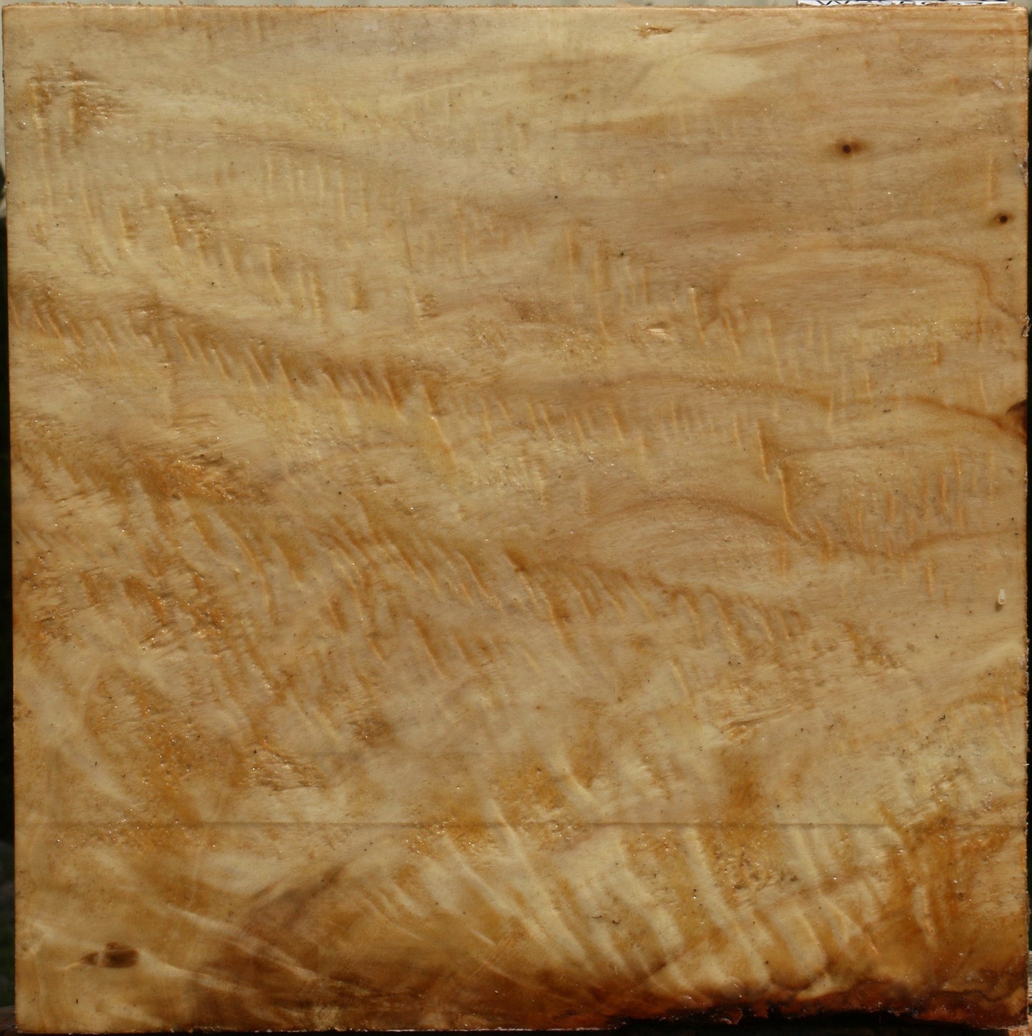 Black Cottonwood Bowl Blank