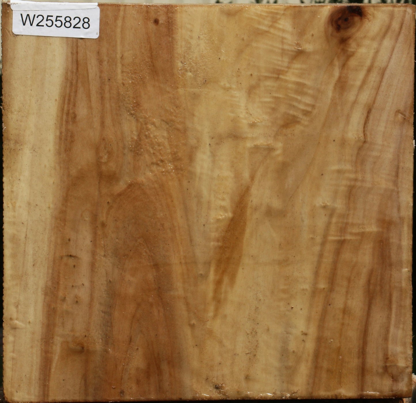 Figured Black Cottonwood Turning Blank