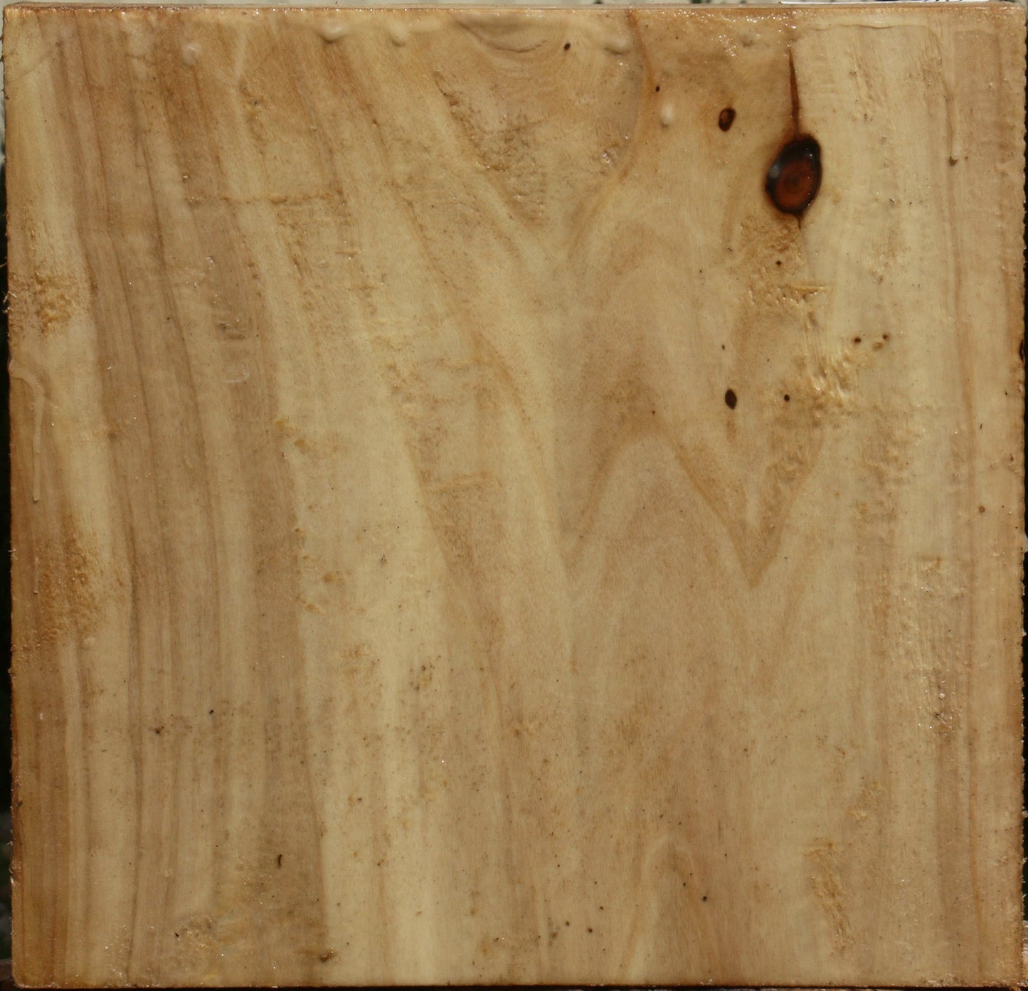 Figured Black Cottonwood Turning Blank