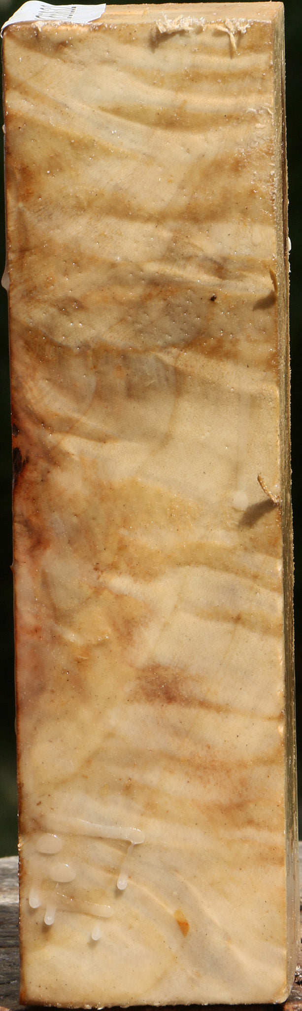 Extra Fancy Black Cottonwood Turning Square