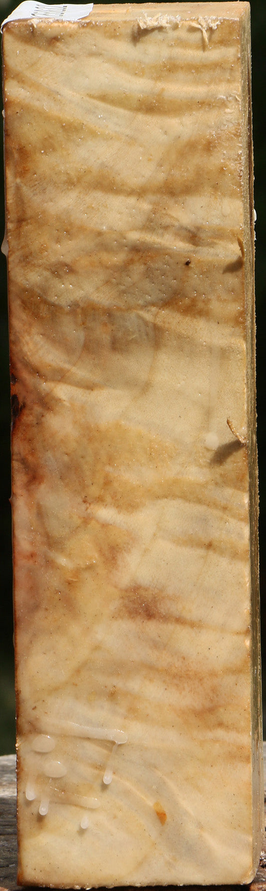 Extra Fancy Black Cottonwood Turning Square