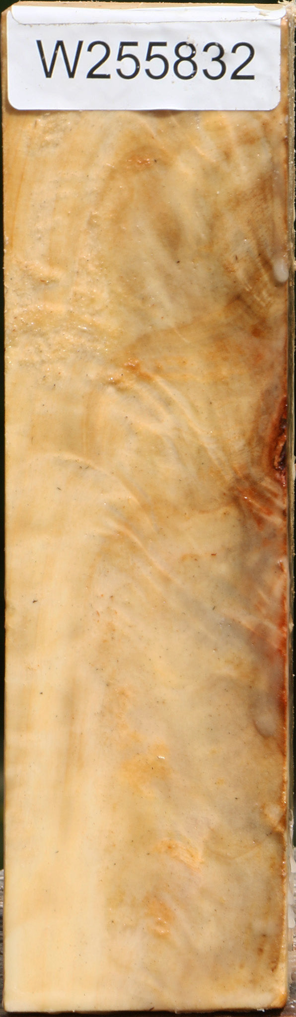 Extra Fancy Black Cottonwood Turning Square