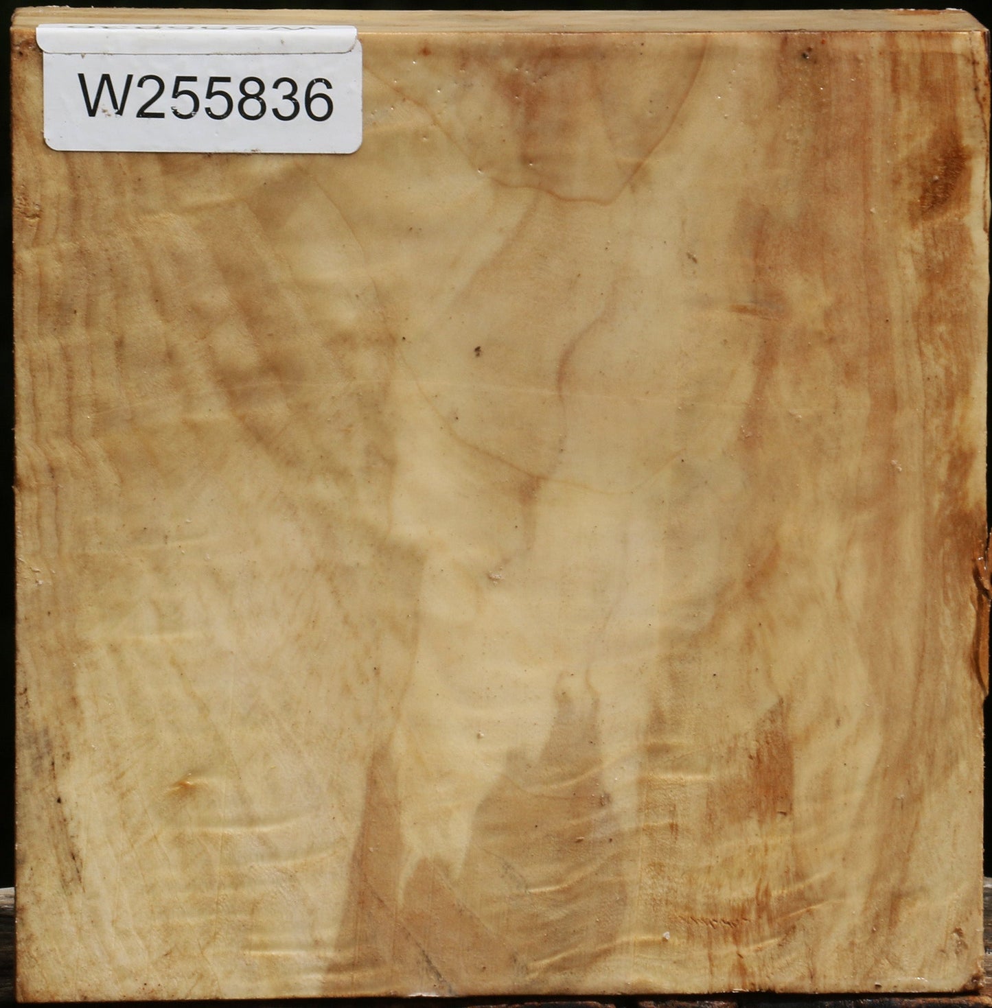 Figured Black Cottonwood Bowl Blank