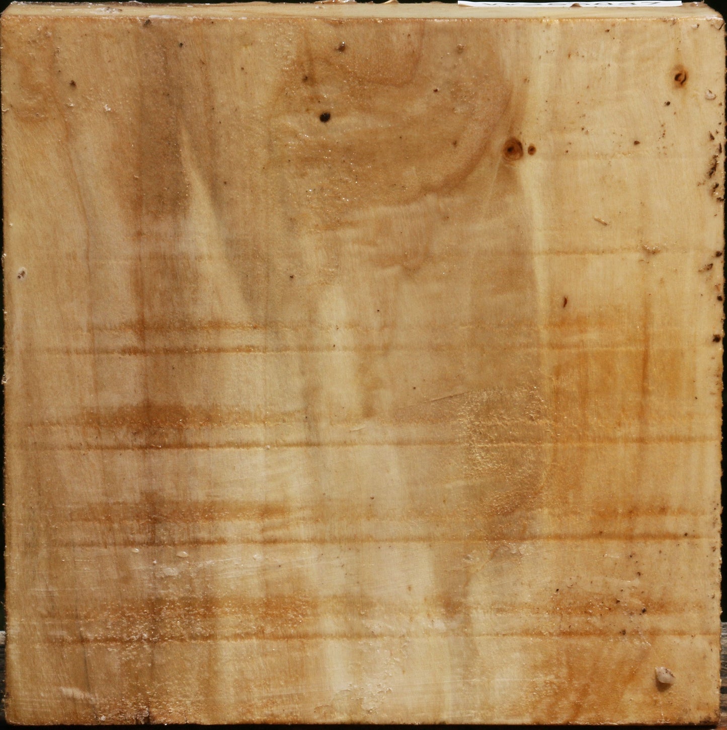 Black Cottonwood Bowl Blank