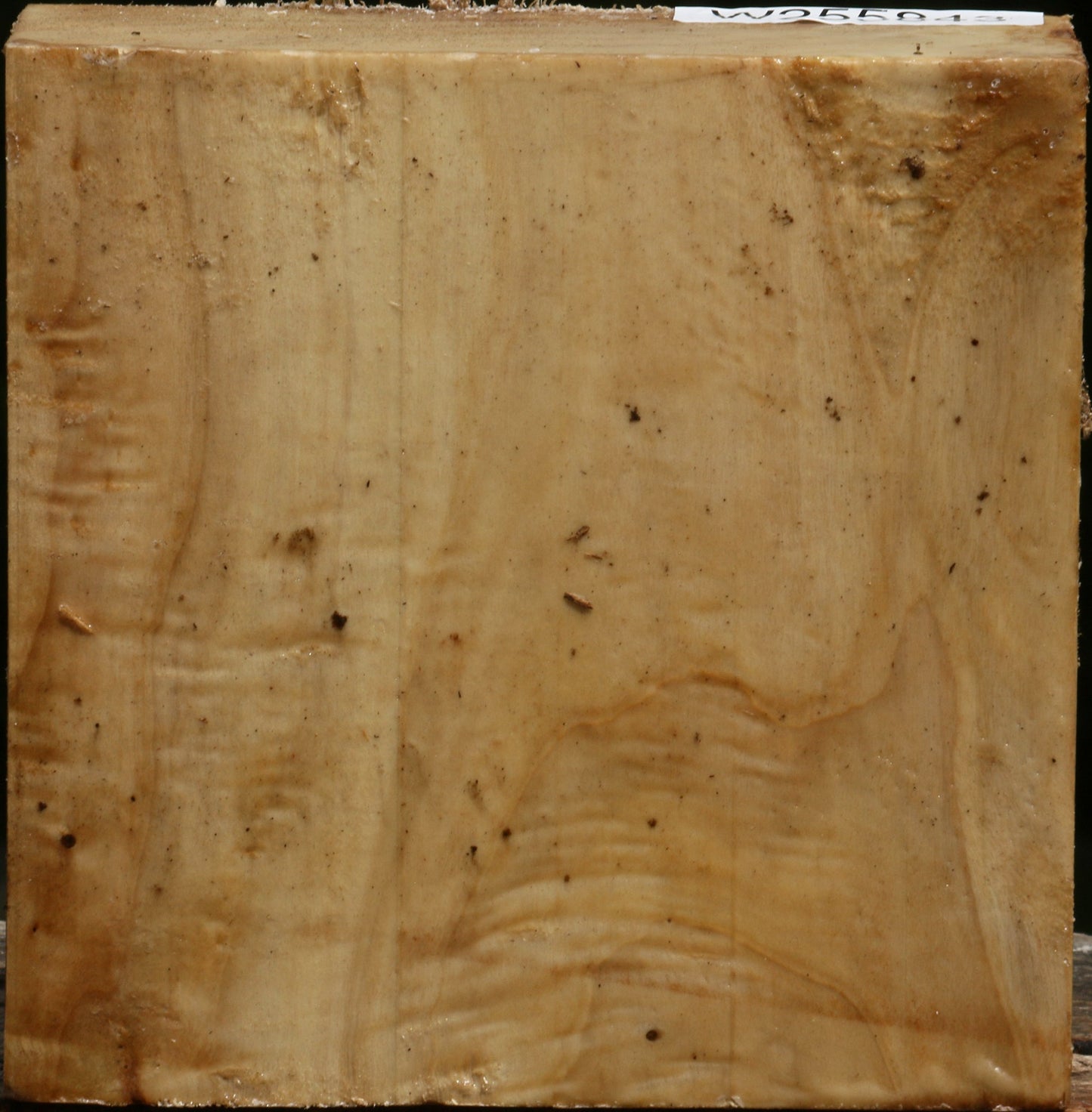 Figured Black Cottonwood Bowl Blank