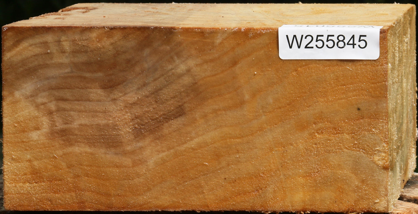 Figured Black Cottonwood Bowl Blank