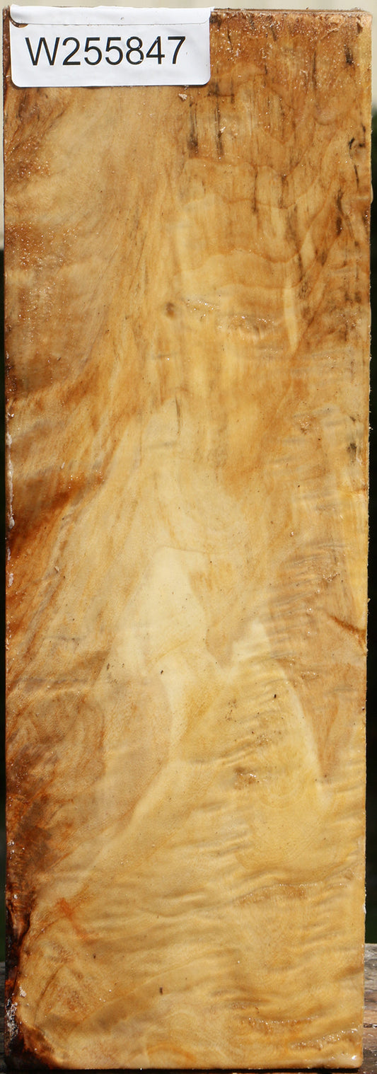 Figured Black Cottonwood Vessel Blank