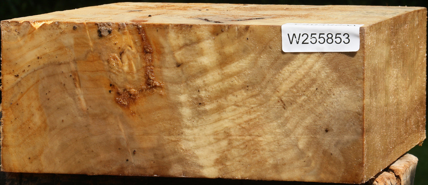 Black Cottonwood Bowl Blank
