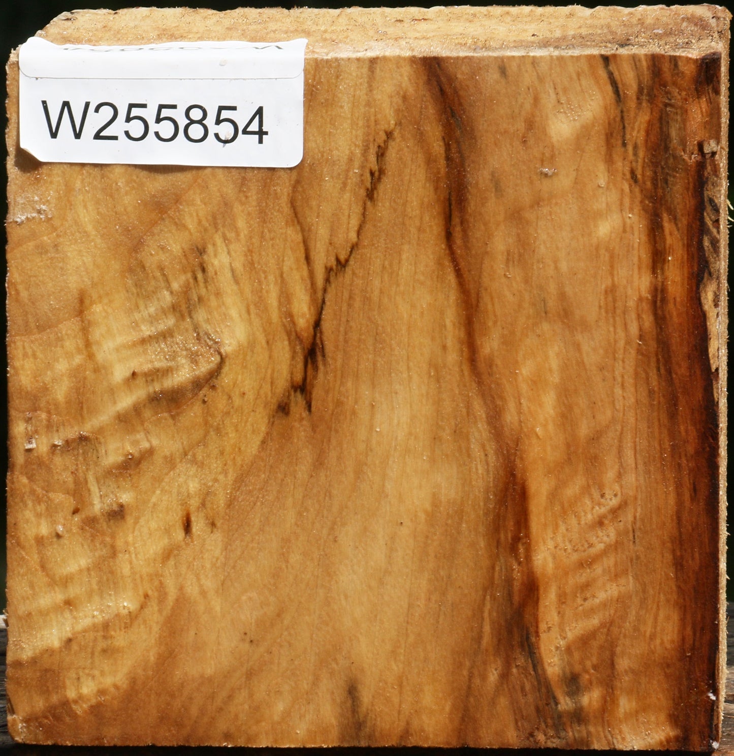 Figured Black Cottonwood Bowl Blank